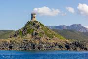 Calvi