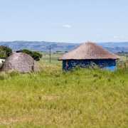 Cases zoulous - Afrique du sud