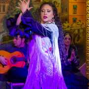 Spectacle de flamenco, quartier Albayzin - Grenade