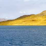 Lac Lagunillas et flamands roses - Pérou 2018