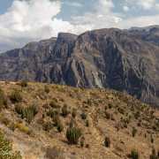 Canyon de Colca - Pérou 2018