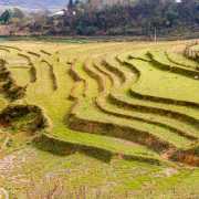Terrasses Sapa, Vietnam 2020