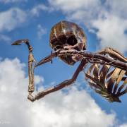 Sculpture mobile, Vannes