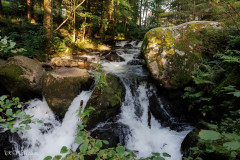 Cascade du Saut des Cuves, Xonrupt Longemer