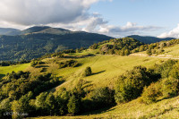 Crêtes des Vosges depuis le Markstein