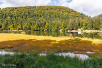 Lac de Blanchemer, La Bresse