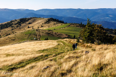 Vue du massif des Vosges depuis le Petit Ballon