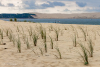 Dune du Pilat vue du Cap Ferret, Bassin d'Arcachon