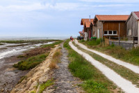 Cabanes ostréicole du port de Larros, Bassin d'Arcachon