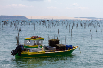 Ostréiculture au Cap Ferret, Bassin d'Arcachon