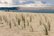 Dune du Pilat vue du Cap Ferret, Bassin d'Arcachon