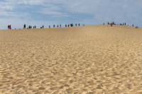 Dune du Pilat, Bassin d'Arcachon