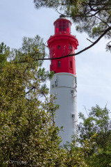 Phare du Cap Ferret, Bassin d'Arcachon
