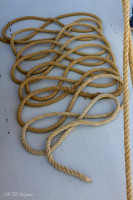 Cordage lové