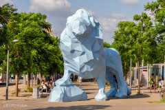 Le lion bleu, Bordeaux