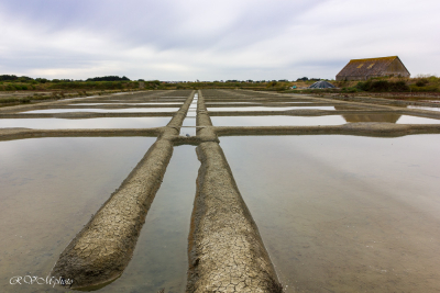 Marais salants près de Guérande
