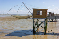 Cabane de pêcheur au carrelet, bord de Loire