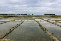 Marais salants près de Guérande