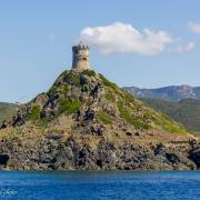 Calvi