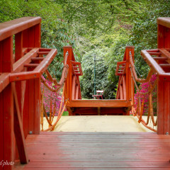 Trévarez (St Goazec)