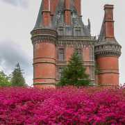 Chateau de Trévarez, rhododendrons