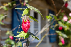 Village de Kerascoet, Nevez
