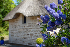 Village de Kerascoet, Nevez