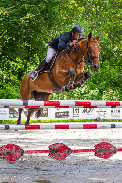 Concours de saut d'obstacle