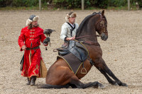 Spectacle équestre et fauconnerie