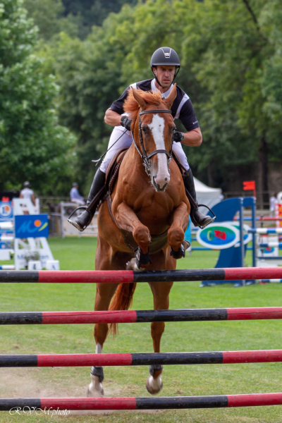 Concours de saut d'obstacle