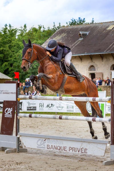 Concours de saut d'obstacle