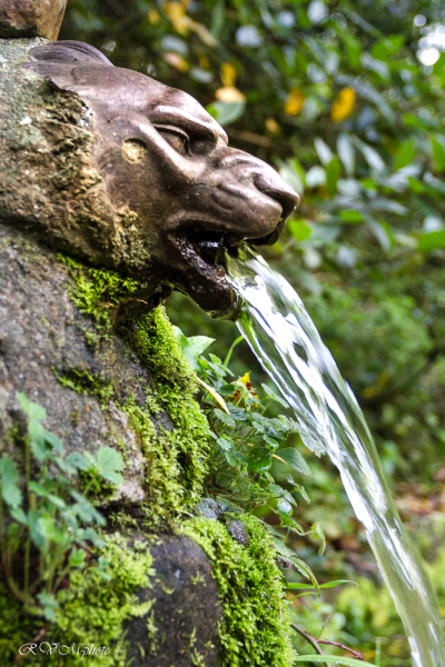 La gueule du lion