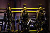 La sellerie d'honneur (détail)