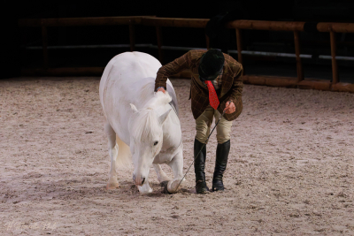 Spectacle équestre