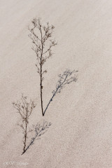 Les carrières de kaolin de Kergantic, Ploemeur