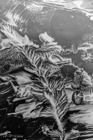 Figures abstraites de pate de kaolin