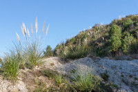 Les carrières de kaolin de Kergantic, Ploemeur