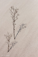 Les carrières de kaolin de Kergantic, Ploemeur