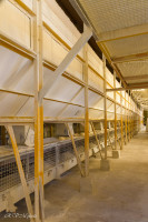 Les carrières de kaolin de Kergantic, Ploemeur