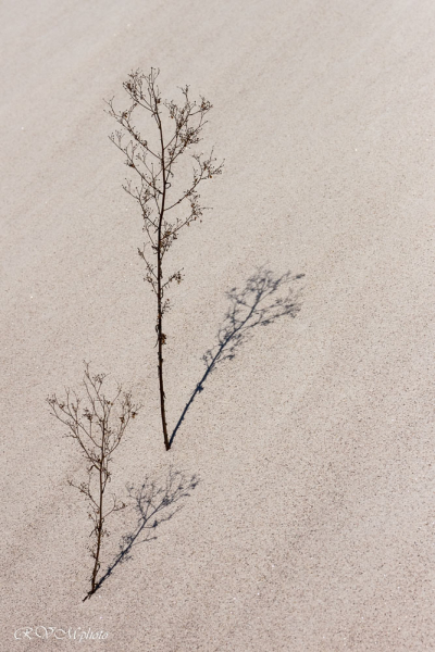 Les carrières de kaolin de Kergantic, Ploemeur