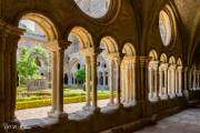 Abbaye de Fontfroide, le cloître