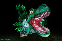 Les animaux de lumière