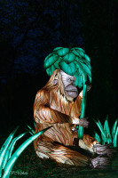 Les animaux de lumière