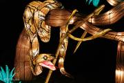 Les animaux de lumière