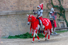 Le secret de la lance