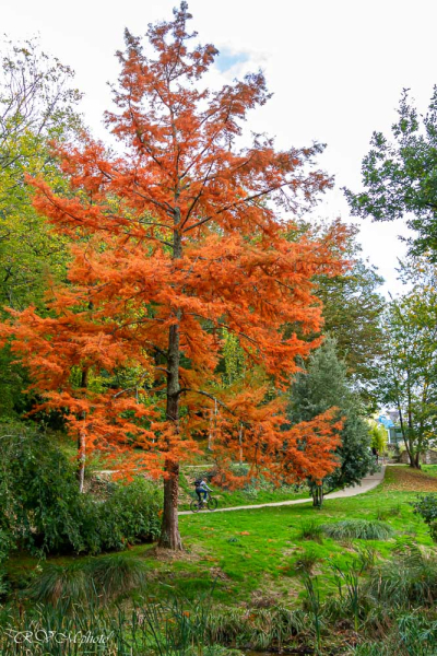 Contraste de couleurs, Kerbihan, Hennebont
