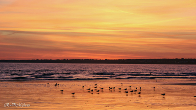 Plage de Fort Bloqué, Ploemeur