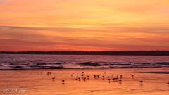 Plage de Fort Bloqué, Ploemeur