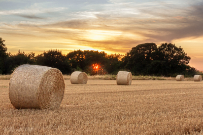 La moisson est faite, au coucher du soleil