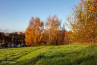 Couleurs d'automne le matin, Lanester